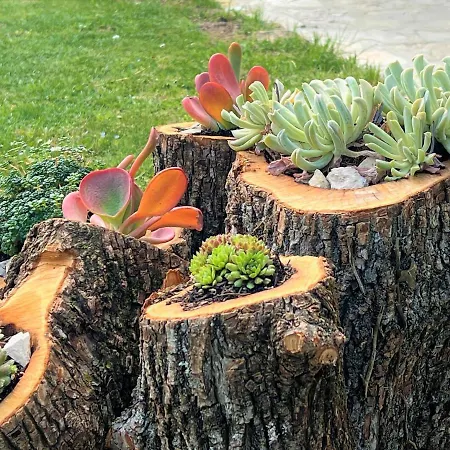 Casa Dei Farfui בית נופש